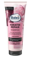 Šampūnas Balea Keratin Repair Shampoo, 250 ml kaina ir informacija | Šampūnai | pigu.lt