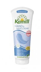 Rankų kremas Kamill Hand & Nagelcreme, 100 ml цена и информация | Кремы, лосьоны для тела | pigu.lt