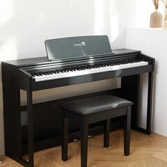 88-klavišų skaitmeninis pianinas LiveStar LDP15 kaina ir informacija | Klavišiniai muzikos instrumentai | pigu.lt