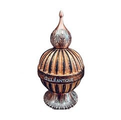 Parfumuotas vanduo Lattafa Antique- Niche Emarati EDP moterims ir vyrams, 20 ml цена и информация | Женские духи | pigu.lt