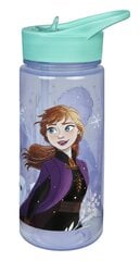 Gertuvė Disney Frozen, 500 ml kaina ir informacija | Gertuvės | pigu.lt