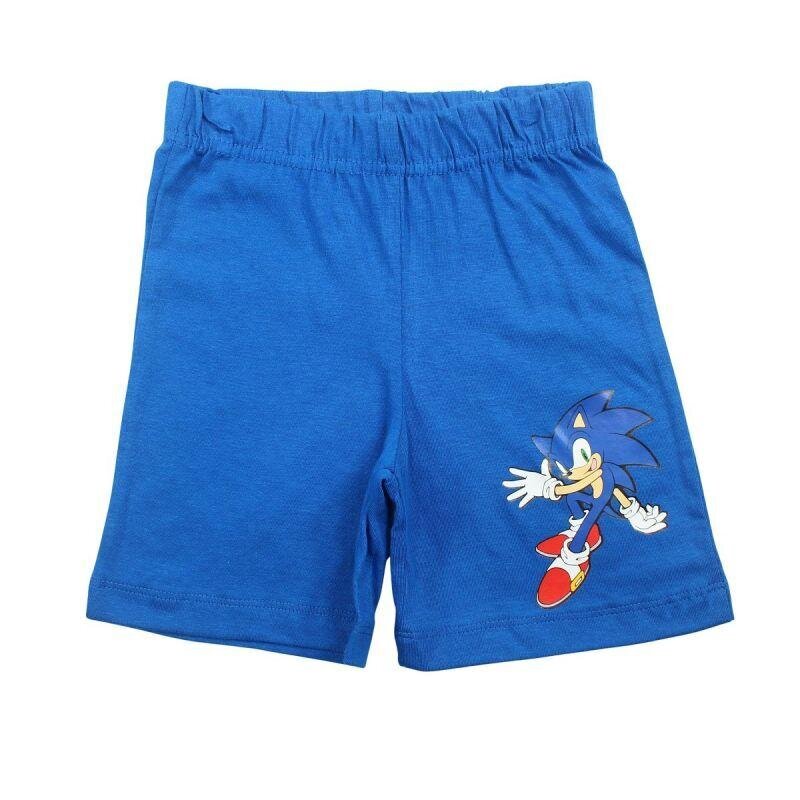 Marškinėlių ir šortų komplektas vaikams Ežiukas Sonic, mėlynas kaina ir informacija | Pižamos, chalatai berniukams | pigu.lt