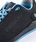 Apsauginiai batai SOFTEX S1P mėlyni цена и информация | Darbo batai ir kt. avalynė | pigu.lt