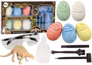 Dinozaurų kiaušinių archeologijos rinkinys Lean Toys kaina ir informacija | Žaislai berniukams | pigu.lt