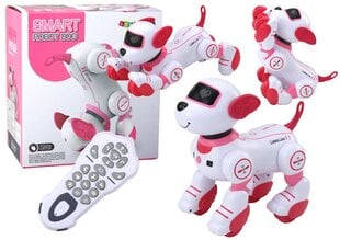 Interaktyvus šuo - robotas Lean Toys kaina ir informacija | Žaislai berniukams | pigu.lt