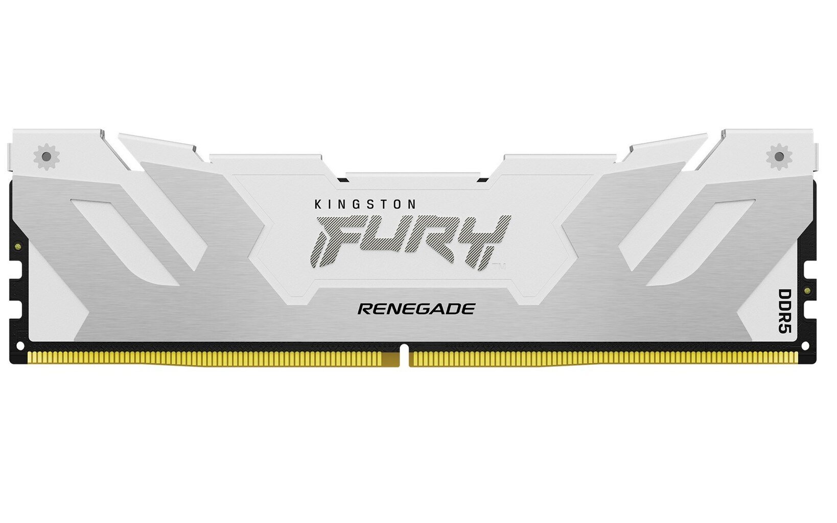 Kingston Fury Renegade (KF564C32RW-16) kaina ir informacija | Operatyvioji atmintis (RAM) | pigu.lt