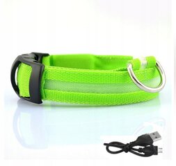 Šunų antkaklis LED vandeniui atsparus USB kabelis GREEN XL 52-60cm kaina ir informacija | Antkakliai, petnešos šunims | pigu.lt