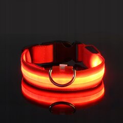 Šunų antkaklis LED vandeniui atsparus USB kabelis RED XL 52-60cm kaina ir informacija | Antkakliai, petnešos šunims | pigu.lt