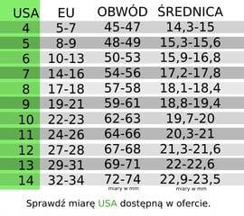 Перстень-печатка викингов НОРДИЧЕСКИЙ амулет RUNA 471 471-04 цена и информация | Мужские украшения | pigu.lt