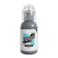 Tatuiruočių tušas World Famous Grey 1, 30 ml kaina ir informacija | Antakių dažai, pieštukai | pigu.lt