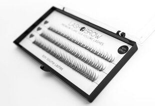 "Lash Brow Kim Effect V" blakstienų grupės kaina ir informacija | Priklijuojamos blakstienos, blakstienų rietikliai | pigu.lt