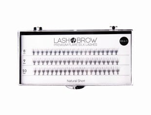 "Lash Brow Premium Flare" natūralios trumpos šilkinės blakstienos kaina ir informacija | Priklijuojamos blakstienos, blakstienų rietikliai | pigu.lt