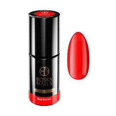 Hibridinis nagų lakas Boska Nails, Nr. 326, 6 ml цена и информация | Лаки, укрепители для ногтей | pigu.lt