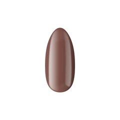 Гибридный лак для ногтей Divine Nails № 384, 6 мл цена и информация | Лаки, укрепители для ногтей | pigu.lt