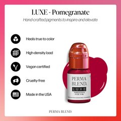 Permanentinio makiažo dažai Perma Blend Luxe Pomegranate, 15 ml kaina ir informacija | Antakių dažai, pieštukai | pigu.lt