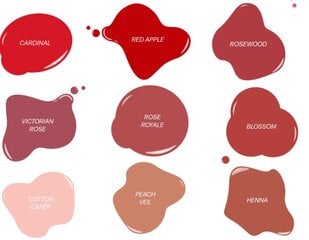 "Perma Blend Luxe Rose Royale v2" pigmentas permanentiniam lūpų makiažui, 15 ml kaina ir informacija | Antakių dažai, pieštukai | pigu.lt