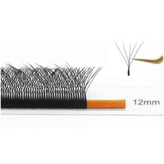 Ресницы Nagaraku 5D W-форма Mix C, 0.07, 8-15 цена и информация | Накладные ресницы, керлеры | pigu.lt