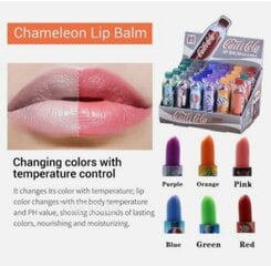 CailiCola набор увлажняющих бальзамов для губ, 24 шт. цена и информация | Помады, бальзамы, блеск для губ | pigu.lt