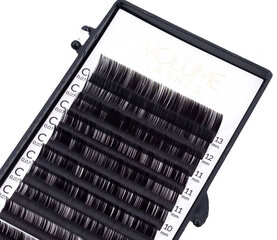 Priklijuojamos blakstienos Wonder Lashes Volume Mix B 0.07, 8-13 mm kaina ir informacija | Priklijuojamos blakstienos, blakstienų rietikliai | pigu.lt