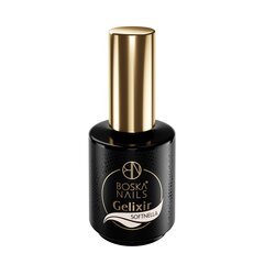 Gelinis nagų lakas Divine Nails Gelixir Gel in Bottle, Softnella, 15 ml kaina ir informacija | Nagų lakai, stiprintojai | pigu.lt