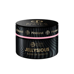 Divine Nails Jellysious Builder Gel System UV Pinkland, 30 мл цена и информация | Средства для маникюра и педикюра | pigu.lt