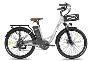 Elektrinis dviratis Fafrees F26 Lasting, 26", pilkas kaina ir informacija | Elektriniai dviračiai | pigu.lt