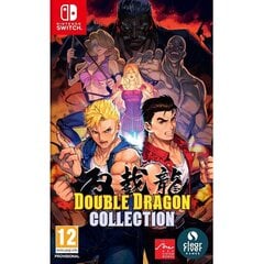 Double Dragon Collection Switch kaina ir informacija | Kompiuteriniai žaidimai | pigu.lt