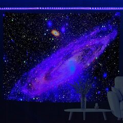 Настенное украшение UV FLUORESCENT GOBELIN ODBLASK 150x150cm Cosmos цена и информация | Репродукции, картины | pigu.lt