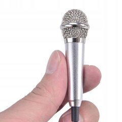 Karaoke Microphone kaina ir informacija | Mikrofonai | pigu.lt