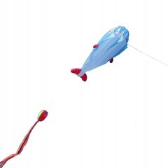 FLYER XXL BLUE MALE 210cm PLASTER цена и информация | Воздушные змеи и аксессуары | pigu.lt