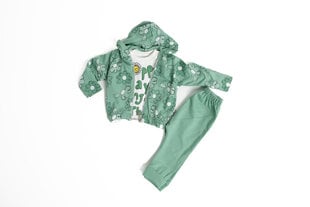    цена и информация | Комплекты одежды для новорожденных | pigu.lt