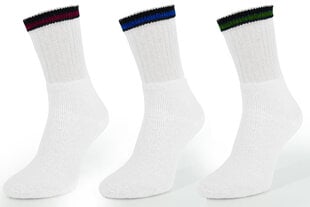 Kojinės vyrams Socks Lab, baltos, 3 poros kaina ir informacija | Vyriškos kojinės | pigu.lt