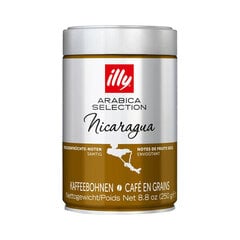 Кофе illy Arabica Selection - Никарагуа 250 г цена и информация | Кофе, какао | pigu.lt