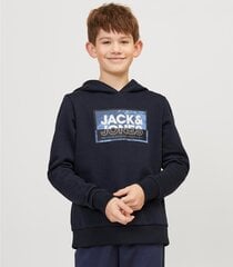 Džemperis berniukams Jack & Jones, mėlynas kaina ir informacija | Megztiniai, bluzonai, švarkai berniukams | pigu.lt