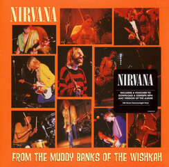 Vinilinė plokštelė Nirvana - From The Muddy Banks Of The Wishkah kaina ir informacija | Vinilinės plokštelės, CD, DVD | pigu.lt