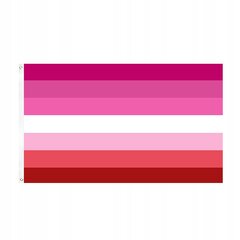 LGBT LARGE Rainbow Flag 90x150cm PANSEXUALITY F2 цена и информация | Флаги и аксессуары к ним | pigu.lt