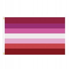 LGBT LARGE Rainbow Flag 90x150cm PANSEXUALITY F2 цена и информация | Флаги и аксессуары к ним | pigu.lt