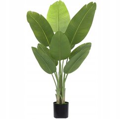 Dirbtinė PALMA PLANT Strelitzia RAJESA PAVYZDYS REALISTINIAME Tvenkinyje 120cm kaina ir informacija | Dirbtinės gėlės | pigu.lt