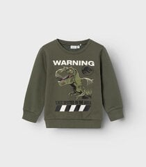 Džemperis berniukams Name It, žalias kaina ir informacija | Megztiniai, bluzonai, švarkai berniukams | pigu.lt