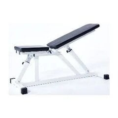 Универсальная скамья для фитнеса Sportera SB049 цена и информация | Тренировочные скамьи | pigu.lt