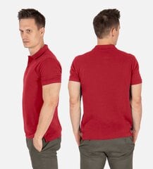 Vyriški polo marškinėliai Pantoneclo kaina ir informacija | Vyriški marškinėliai | pigu.lt