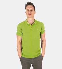 Vyriški polo marškinėliai Pantoneclo kaina ir informacija | Vyriški marškinėliai | pigu.lt