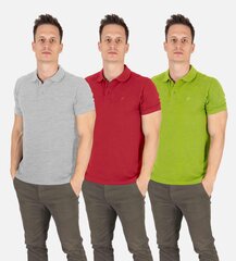 Vyriški polo marškinėliai Pantoneclo - 3 vnt kaina ir informacija | Vyriški marškinėliai | pigu.lt