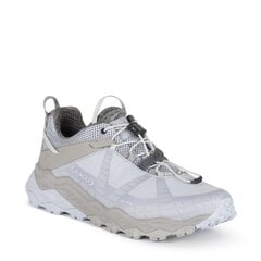 AKU Flyrock GTX WS light grey silver 8032696814144 kaina ir informacija | Aulinukai, ilgaauliai batai moterims | pigu.lt