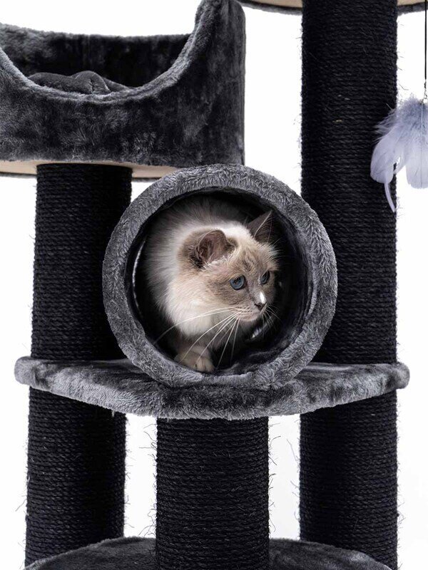 Kačių draskyklė Petrebels Victoria 125, juoda цена и информация | Draskyklės | pigu.lt
