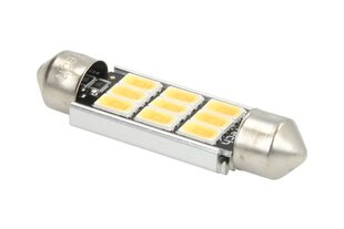 Lemputės LED M-TECH TULB816WW-01B цена и информация | Фары | pigu.lt