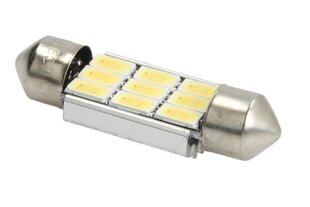 Lemputės LED M-TECH TULB815WW-01B цена и информация | Фары | pigu.lt