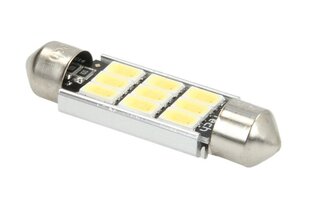 Lemputės LED M-TECH TULB816W-01B цена и информация | Фары | pigu.lt