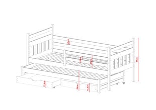 Dviaukštės lovos Daniel FURNLUX CLASSIC, 88x178x85 cm, bėžas kaina ir informacija | Vaikiškos lovos | pigu.lt