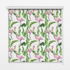 Vidinė užtemdoma roleta, Flamingos ant lapų, 130x240 cm kaina ir informacija | Roletai | pigu.lt